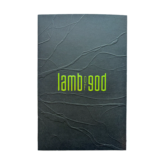 Into Oblivion Limited Edition Zine CD